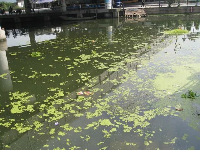 城市黑臭河道如何治理？河道黑臭水體治理思路