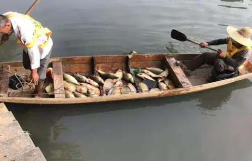 廣州旺旺食品廢水直排，永和河大量魚類死亡